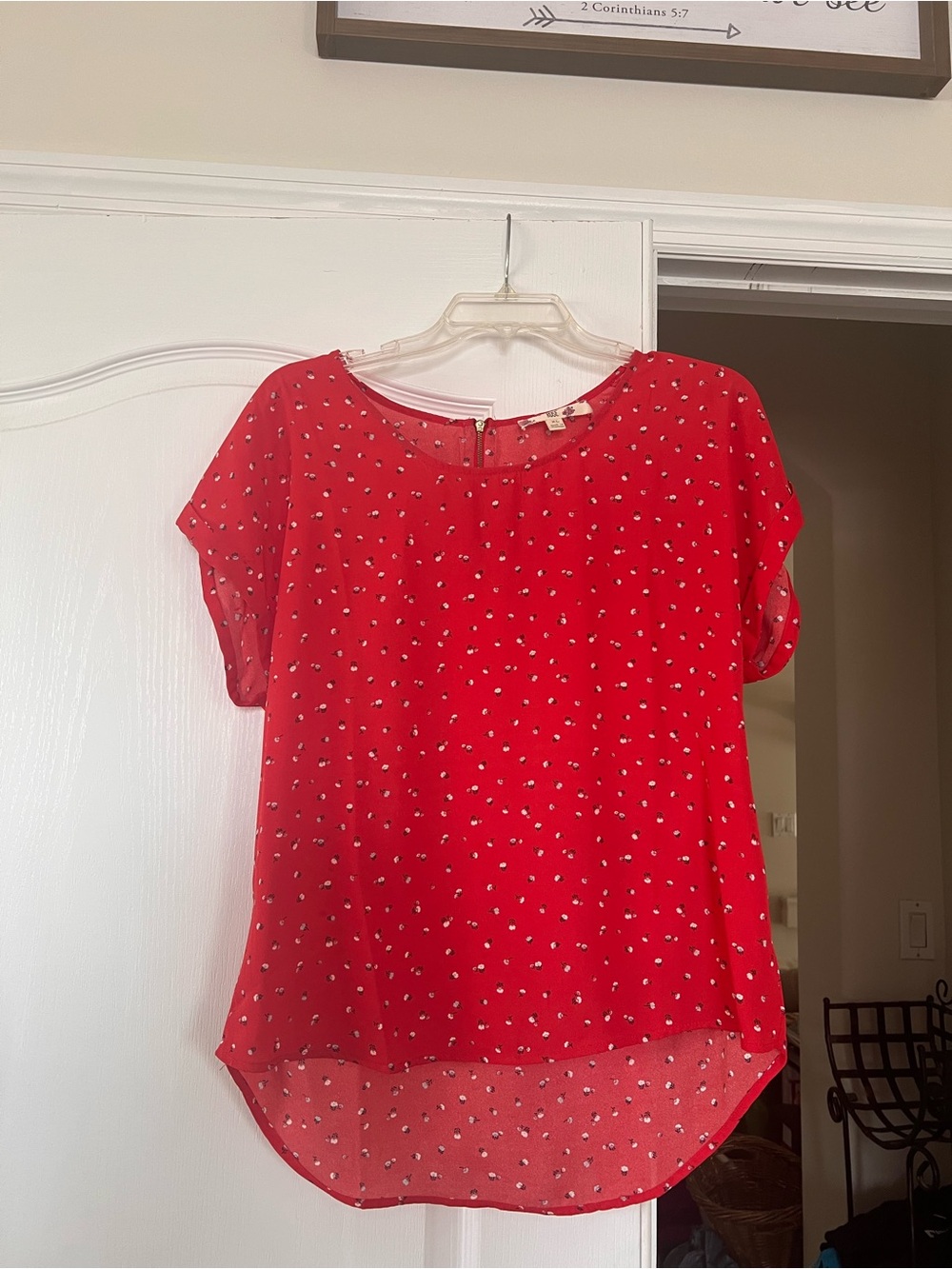 Hippie Rose Red Dot-Print Short Sleeve Chiffon Top